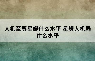 人机至尊星耀什么水平 星耀人机局什么水平